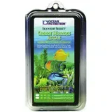 Green Marine Algae