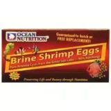 Brine Shrimp Eggs