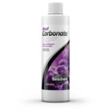 Reef Carbonate