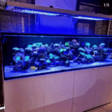 TCB Custom Tank Build - Aquarium - Fish Tank - Installed Aquariums
