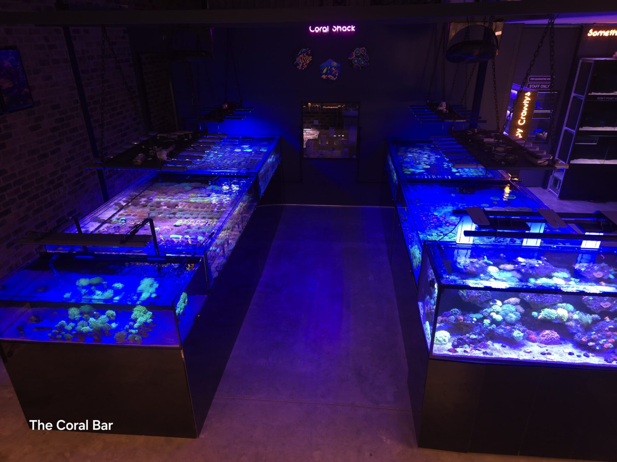 coral bar store