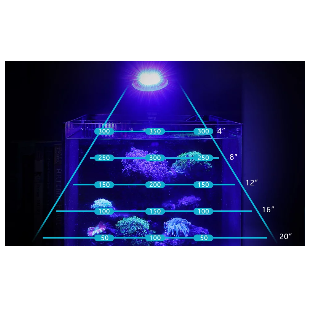 Hygger Dimmable 30W LED